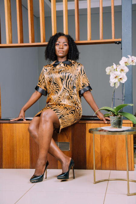 Leopard print with collar dress