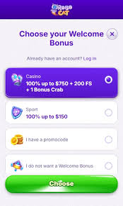 Testimonio de RoboCat Casino Online Testimonio de RoboCat Casino Online